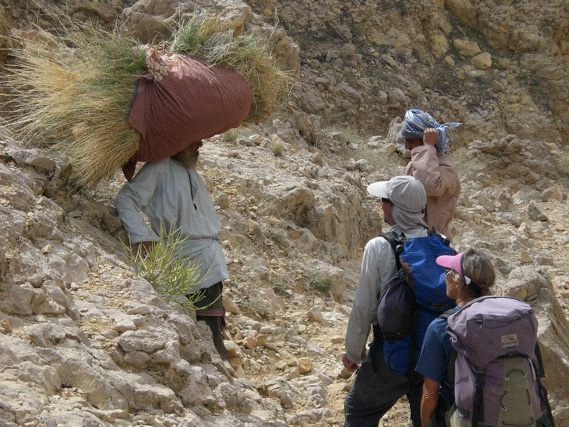 hay on head, Sawqah, Oman
